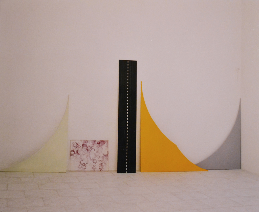 Blair Thurman, Installazione mostra "Recent Works", 2003