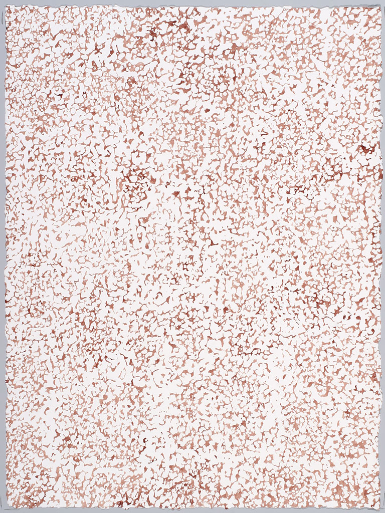 Giovanni Morbin, Ritratto di Francesco, 2005 - Sangue su carta cotone, 76 x 56 cm
