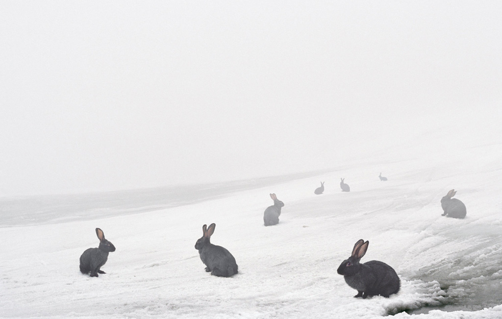 Andrea Galvani, N-1 #5, 2007 - C print su alluminio, cornice di legno, perspex, 139 x 189 cm