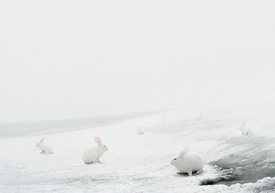 Andrea Galvani, N-1 #7, 2007 - C print su alluminio, cornice di legno, perspex, 139 x 189 cm