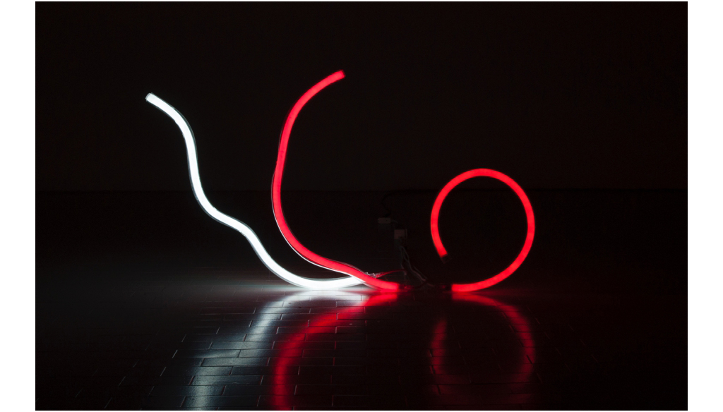 Helen Dowling, Untitled, 2015 - Neon flex con tubo perplex, 50 x 30 cm
