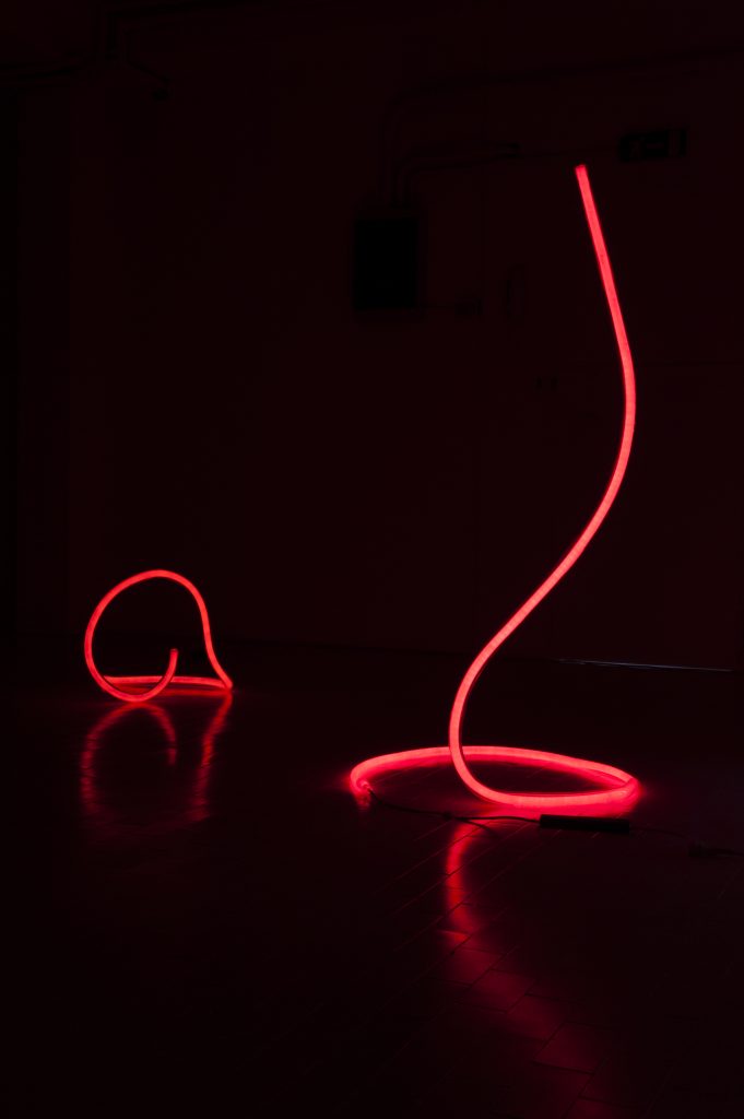 Helen Dowling, Untitled, 2015 - Neon flex con tubo perplex, 50 x 110 cm